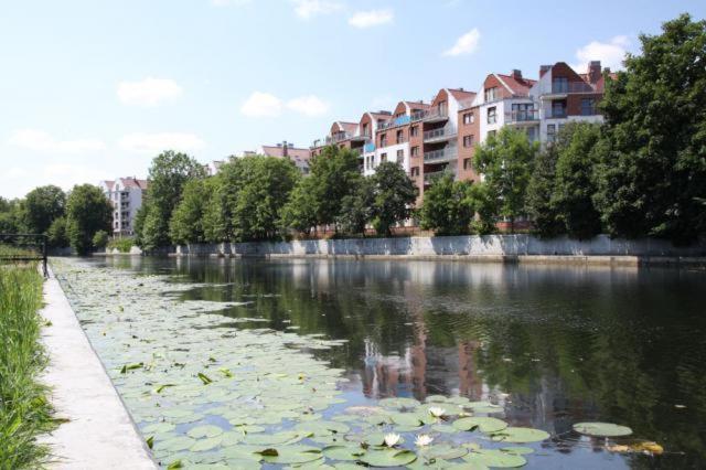 Ferienwohnung Apartament Bello - Free Parking Danzig Exterior foto